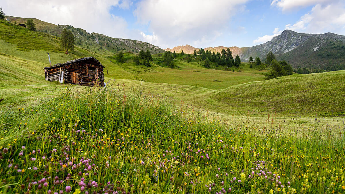 Offerta senza macchina nella natura