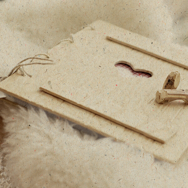 Was sagen unsere Gäste?