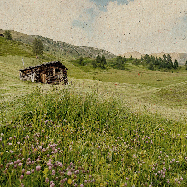 Zurück zur Ursprünglichkeit