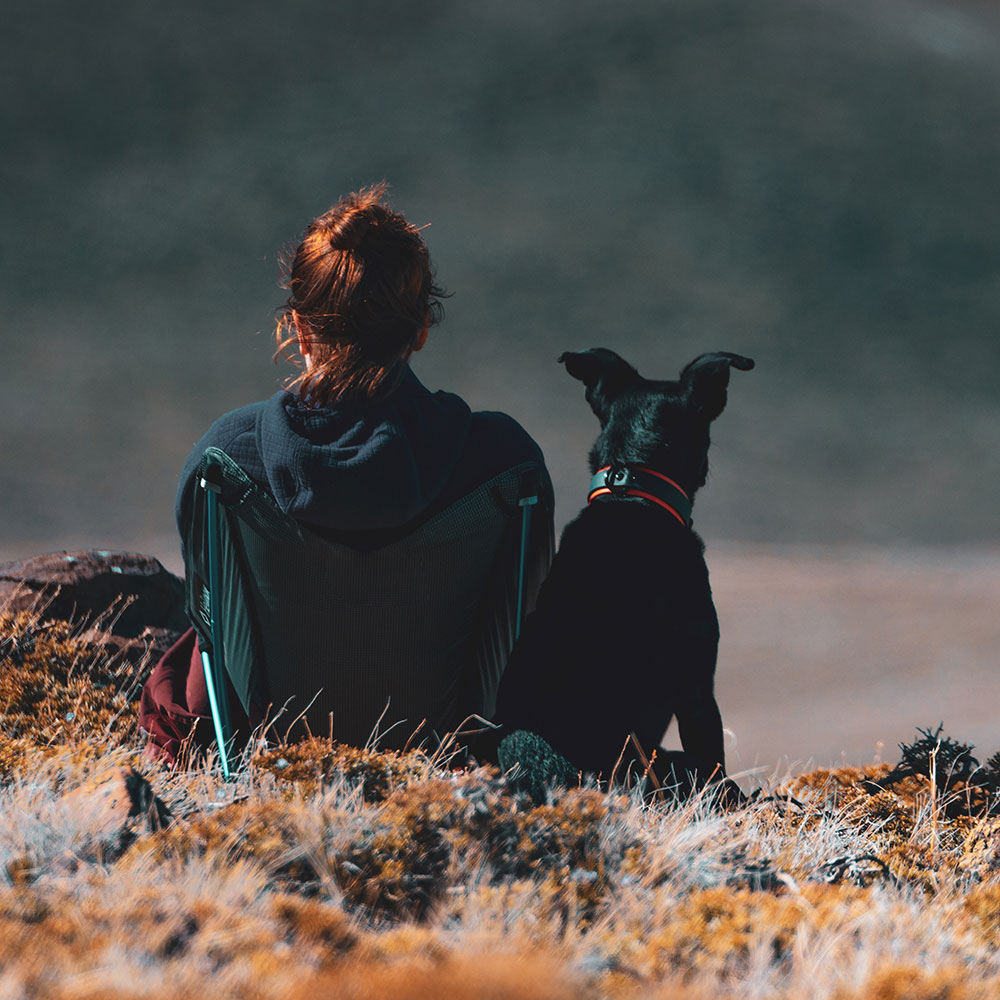 Urlaub mit Hund im Blasla Hof